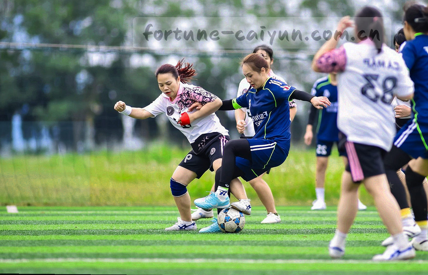 入口路径、移动适配、查询导出与栏目清晰度四象限组成的抽象评测矩阵
